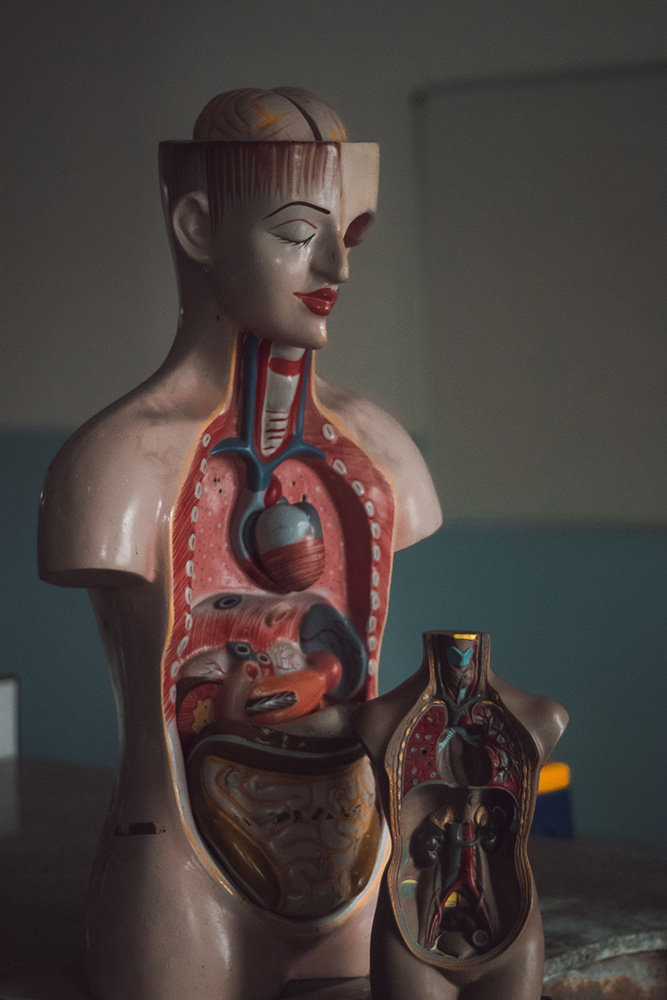 Understanding Your Body: The Health Investment That Gives You More Time