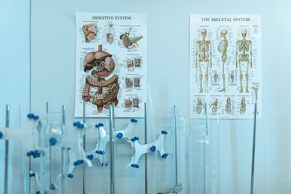 Understanding Your Body: The Health Investment That Gives You More Time